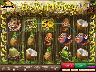 Slots Funky Monkey in Russian Casino